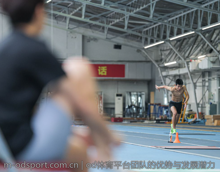 od体育平台团队的优势与发展潜力
