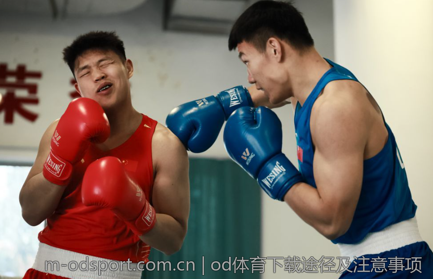 od体育下载途径及注意事项